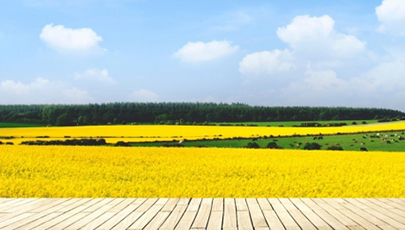 Environmental care & implementation of GHG management