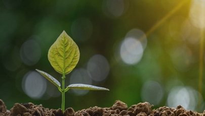 Continuous promotion of a sustainable future